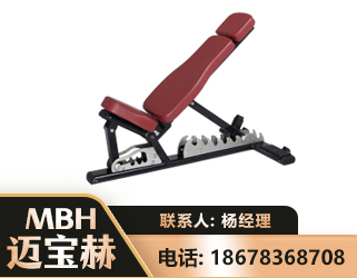黔南可调哑铃椅
